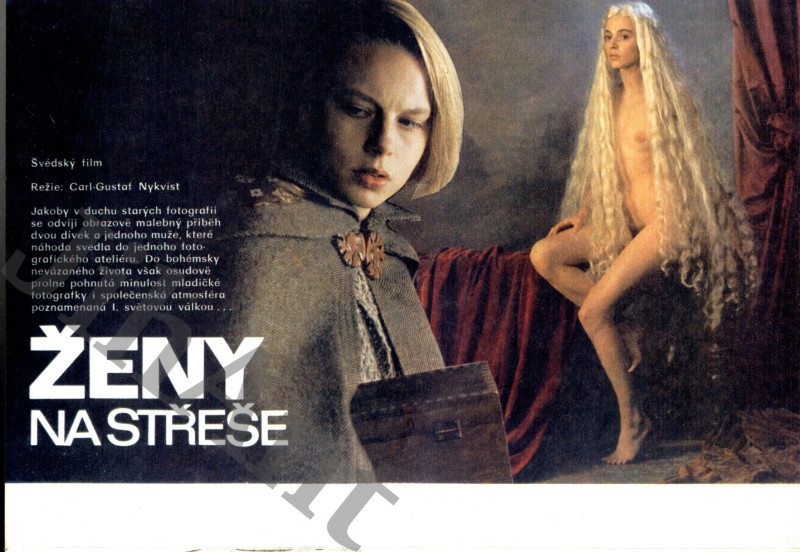 Filmový plakát, slepka - Ženy na střeše