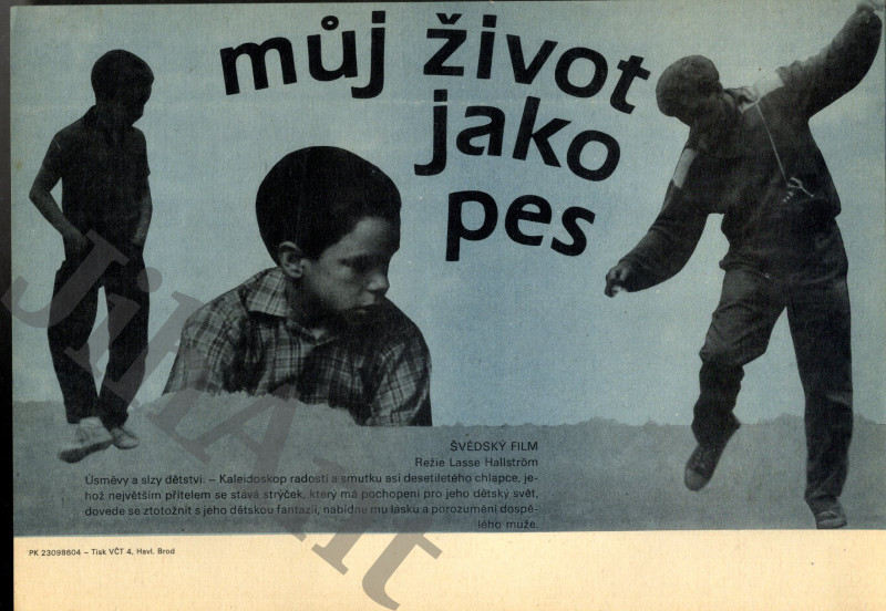 Filmový plakát, slepka - Můj život jako pes