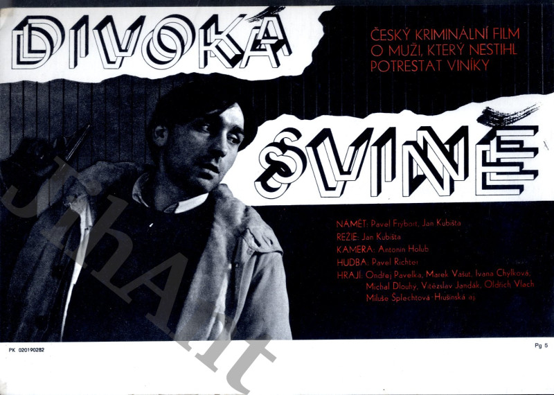 Filmový plakát, slepka - Divoká svině